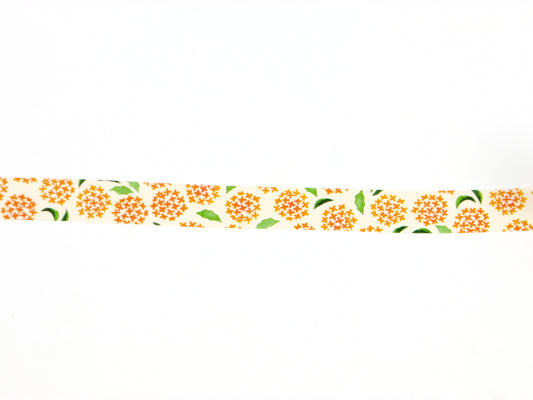 mt x Maruichikyuu Golden Osmanthus