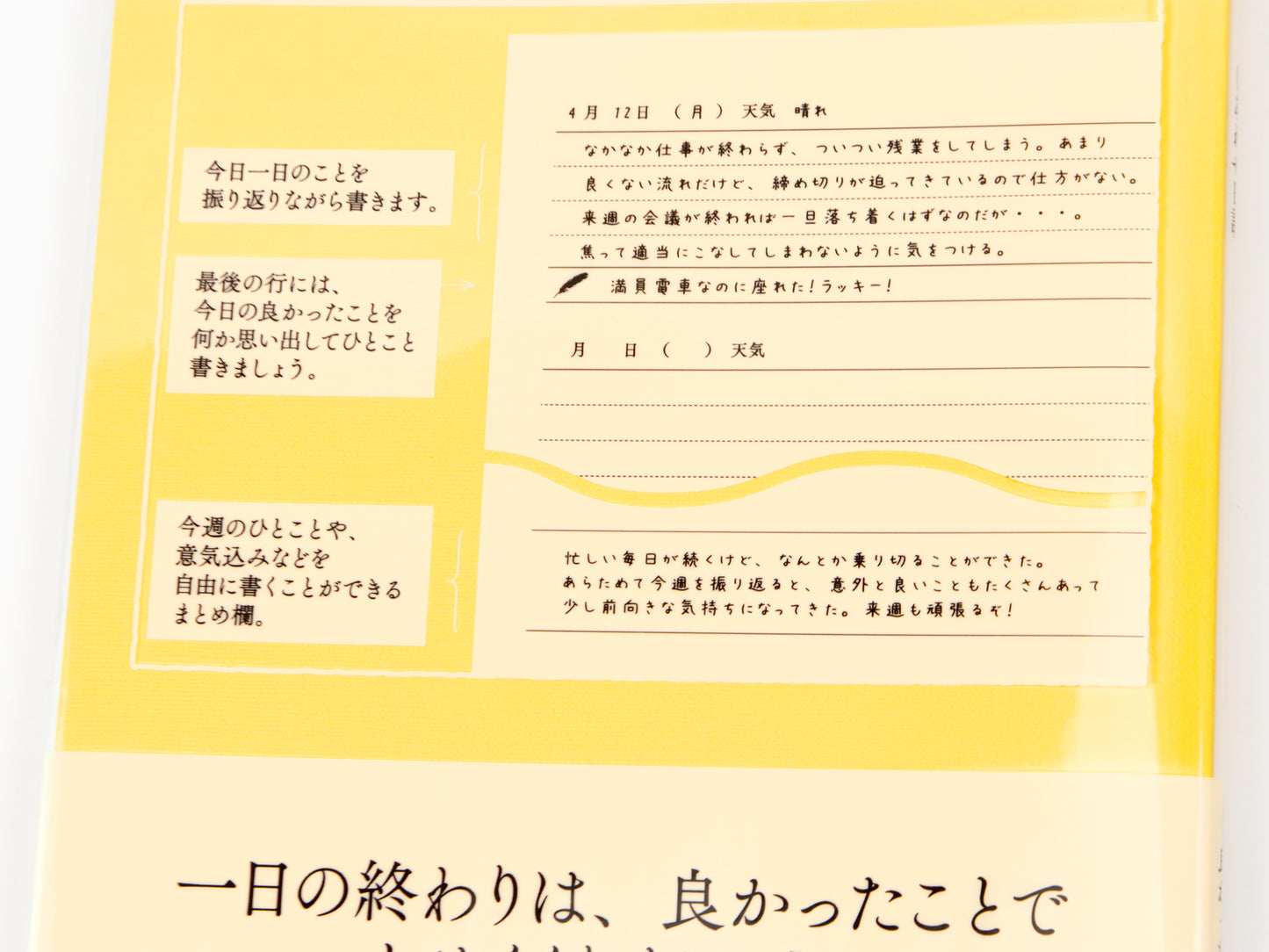 Midori Flexible Diary