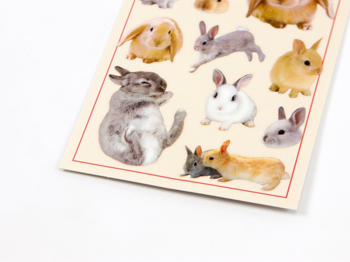 Mind Wave Photo Selection Stickers