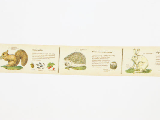 mt ex Encyclopedia of Animals