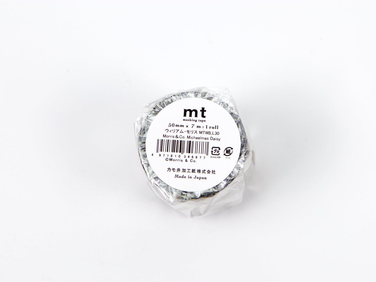 mt Morris & Co. Michaelmas Daisy