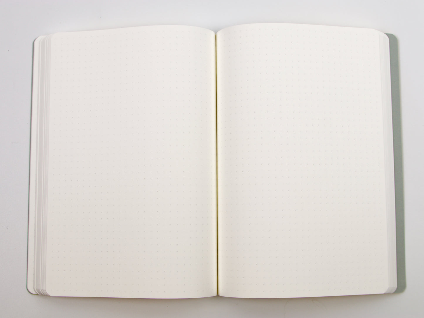 Stalogy A5 365 Days Notebook