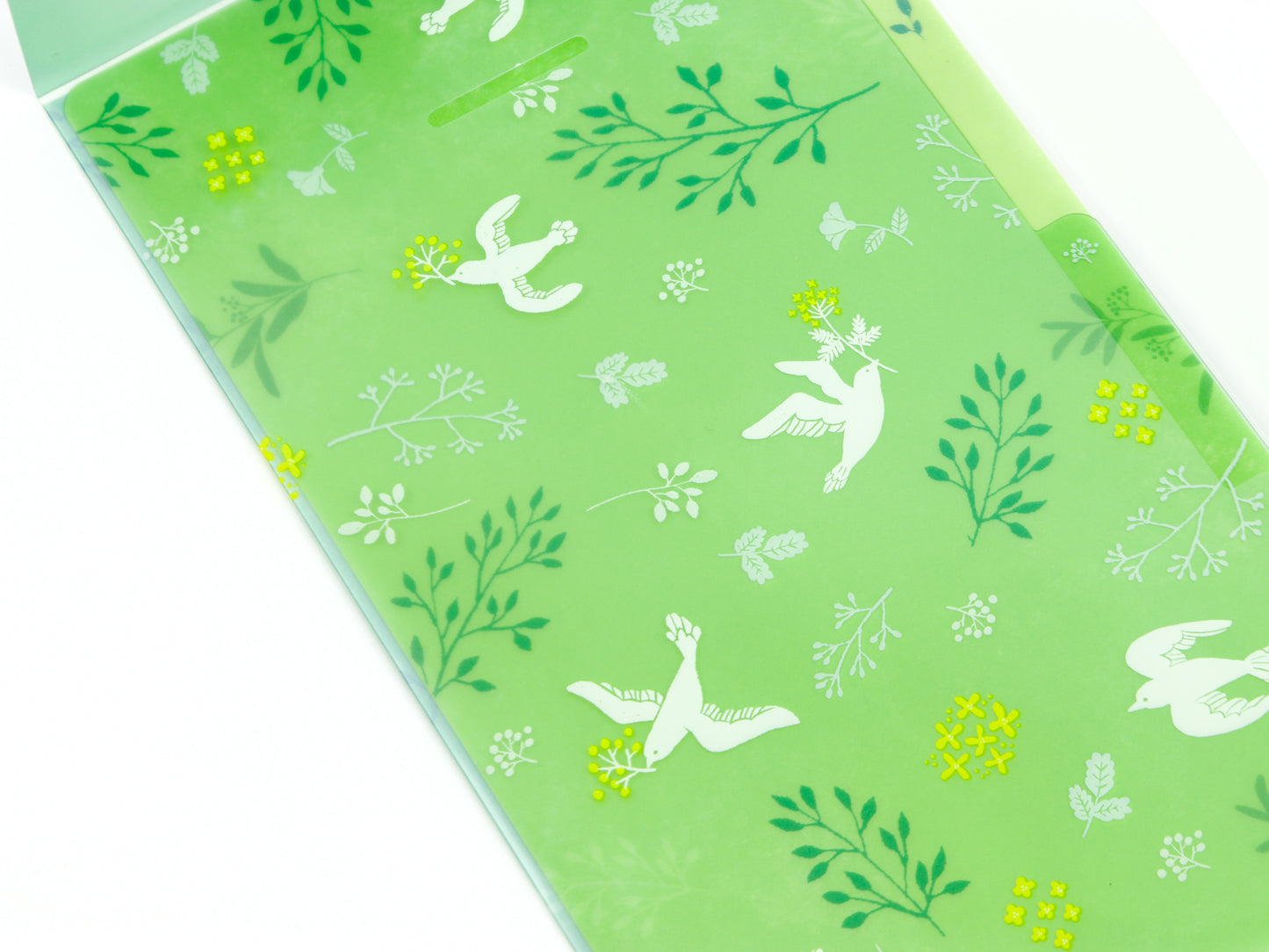 Midori Clear Folder A5 Slim