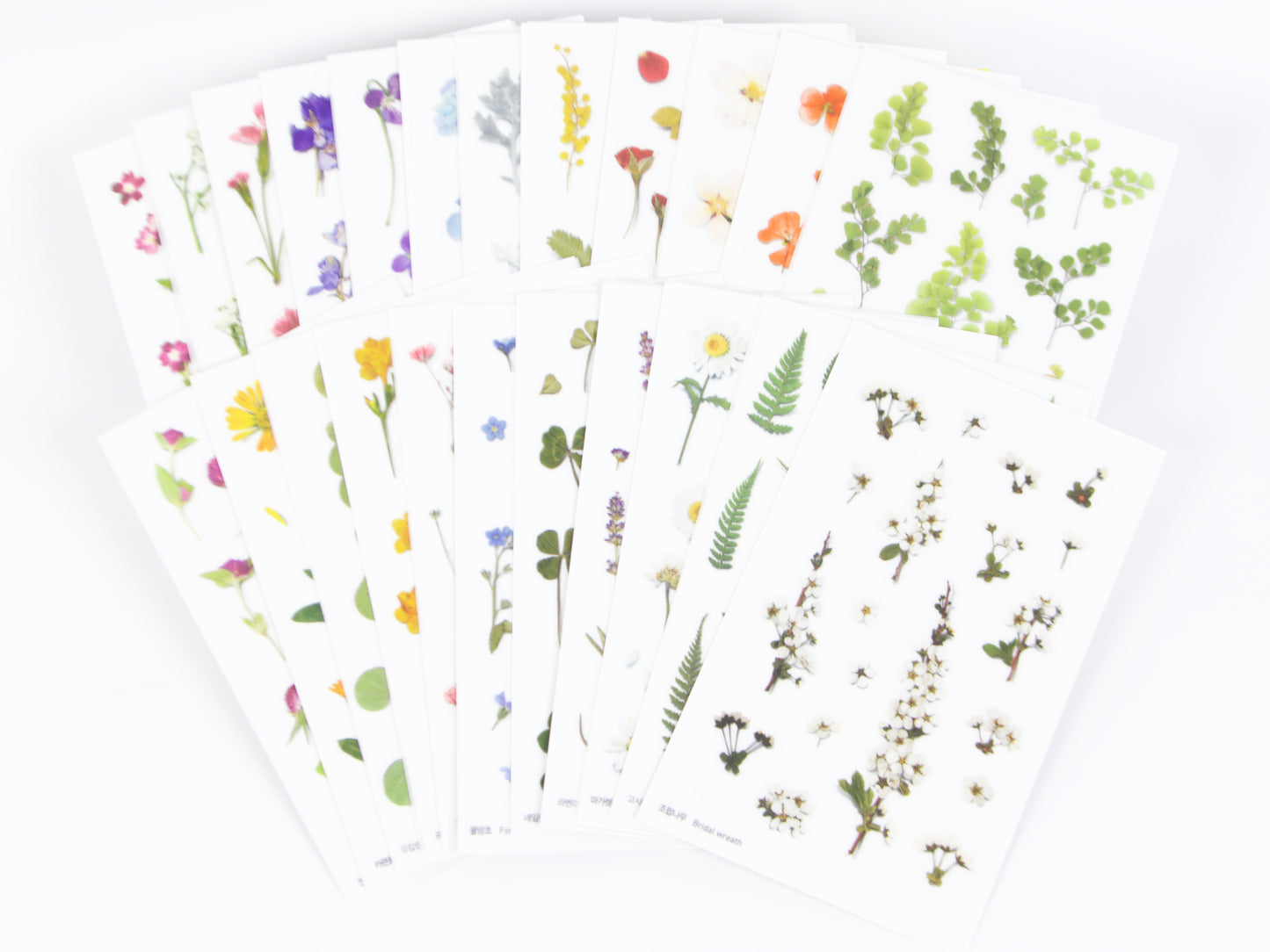 Appree Pressed Flower Stickers