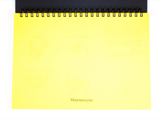 Mnemosyne A5 Grid 5 MM