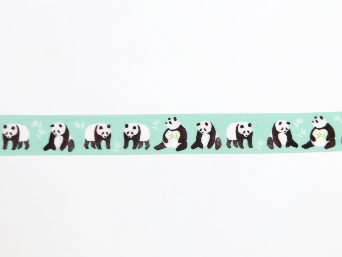 mt x Maruichikyuu Panda