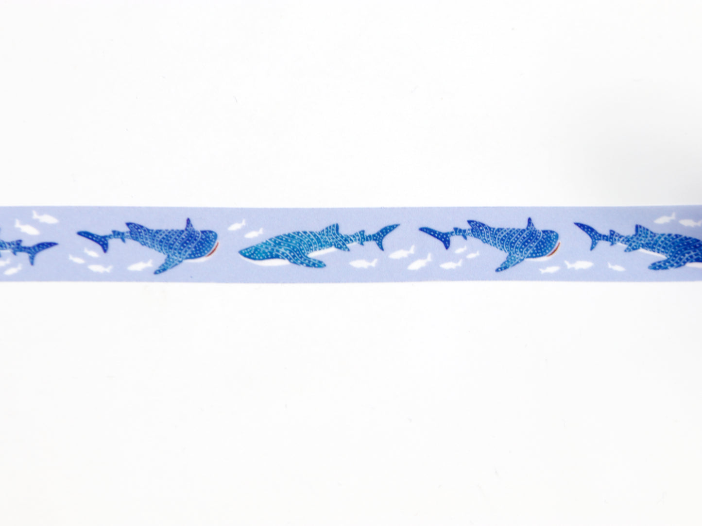 mt x Maruichikyuu Whale Shark