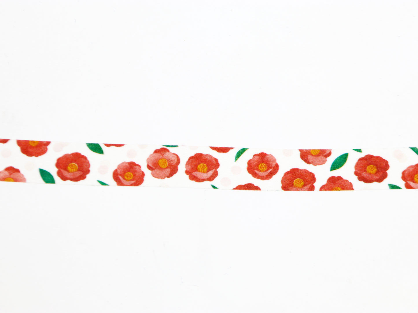 mt x Maruichikyuu Camillia