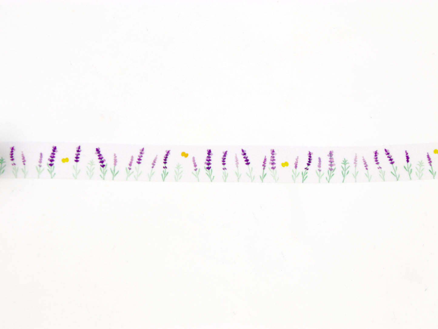 mt x Maruichikyuu Lavender