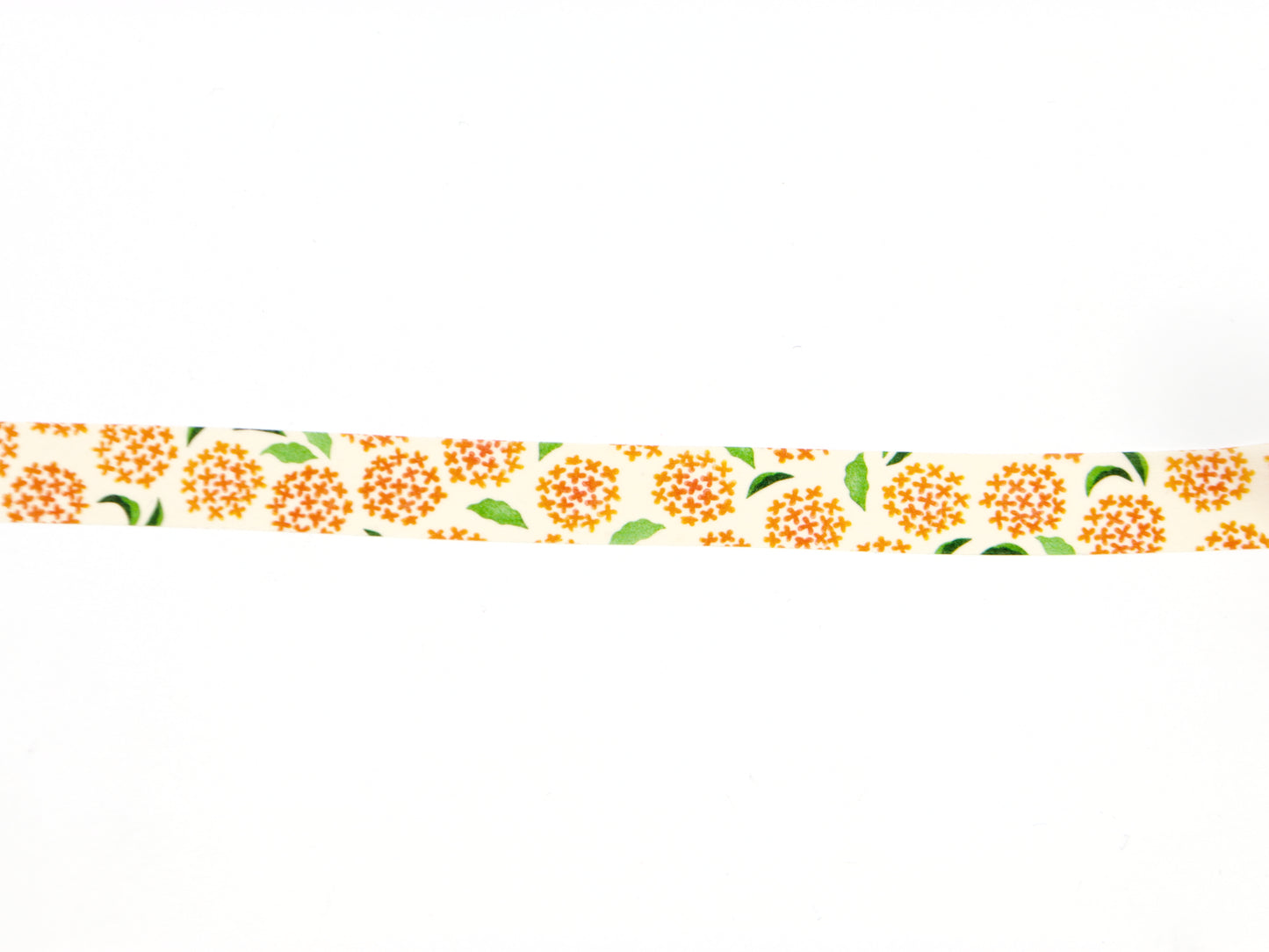 mt x Maruichikyuu Golden Osmanthus