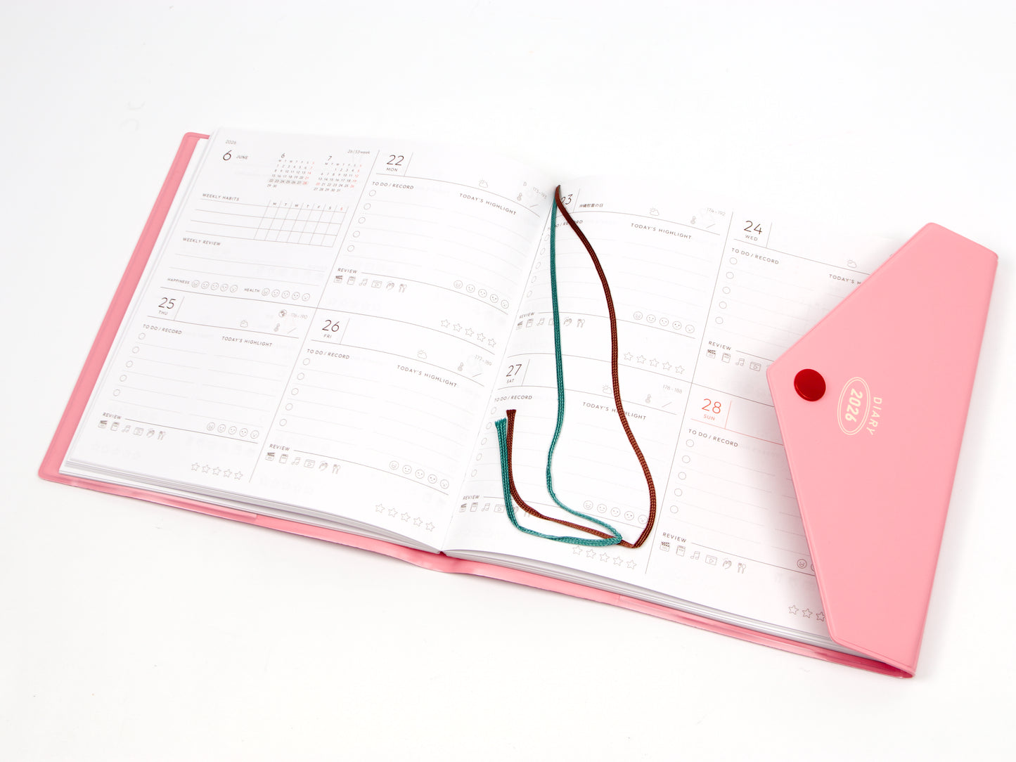 Mark's Inc. Fun Log Square Pop Envelope 2026