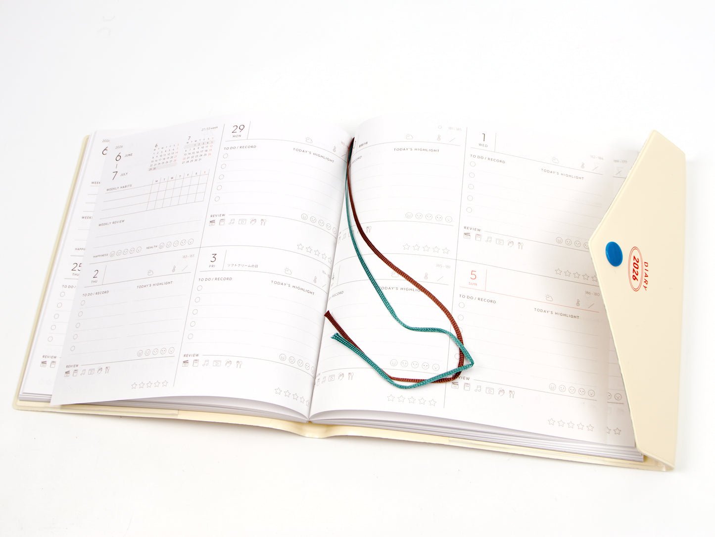 Mark's Inc. Fun Log Square Pop Envelope 2026