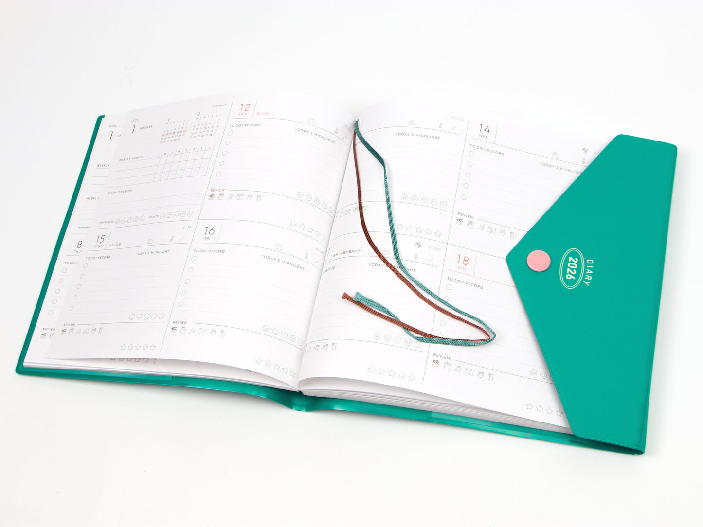 Mark's Inc. Fun Log Square Pop Envelope 2026