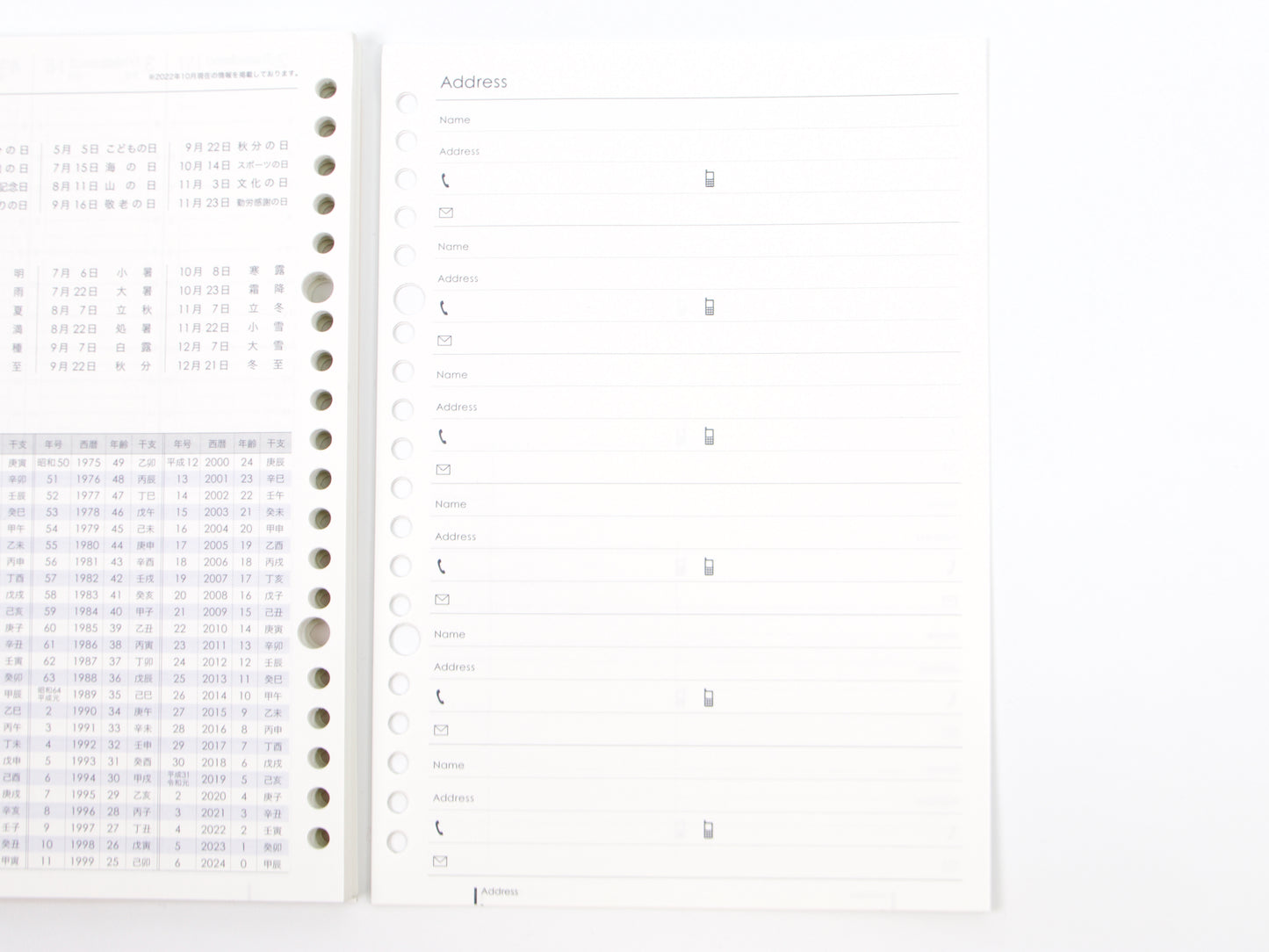 Maruman 2024 A5 Monthly Diary Loose Leaf