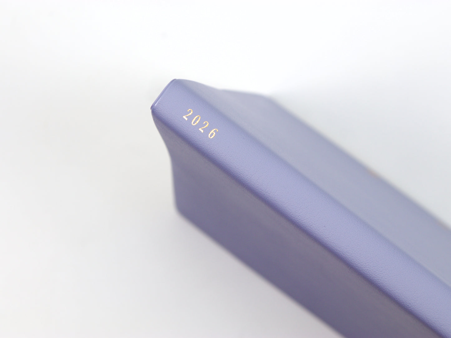 Agenda Midori 24 horas 2025 (B6)