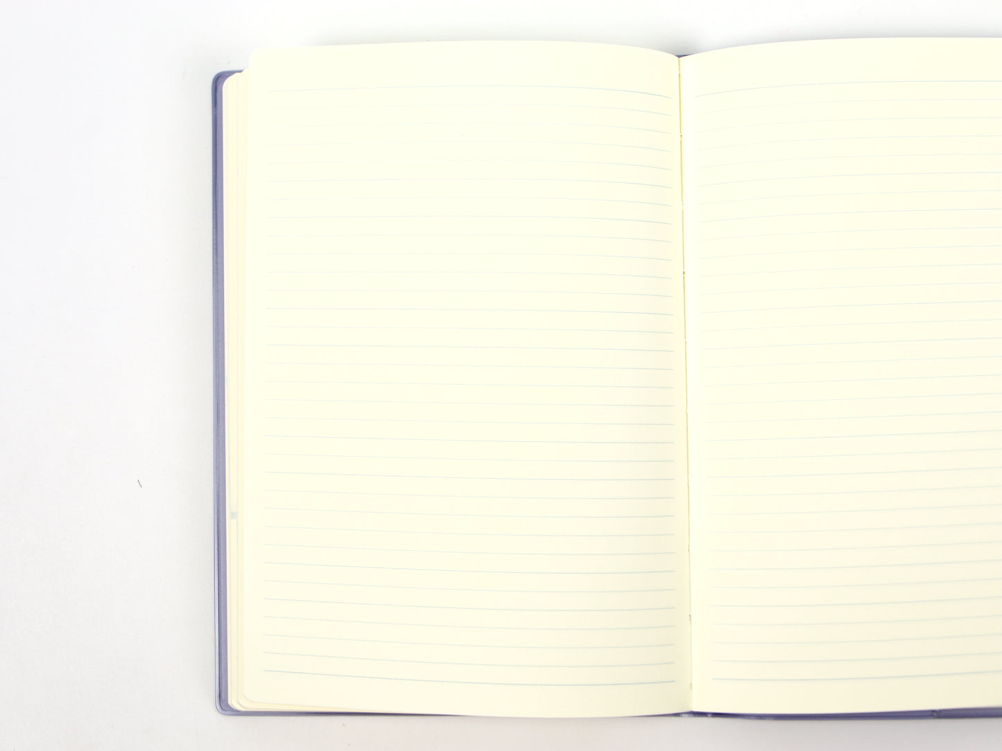 Agenda Midori 24 horas 2025 (B6)