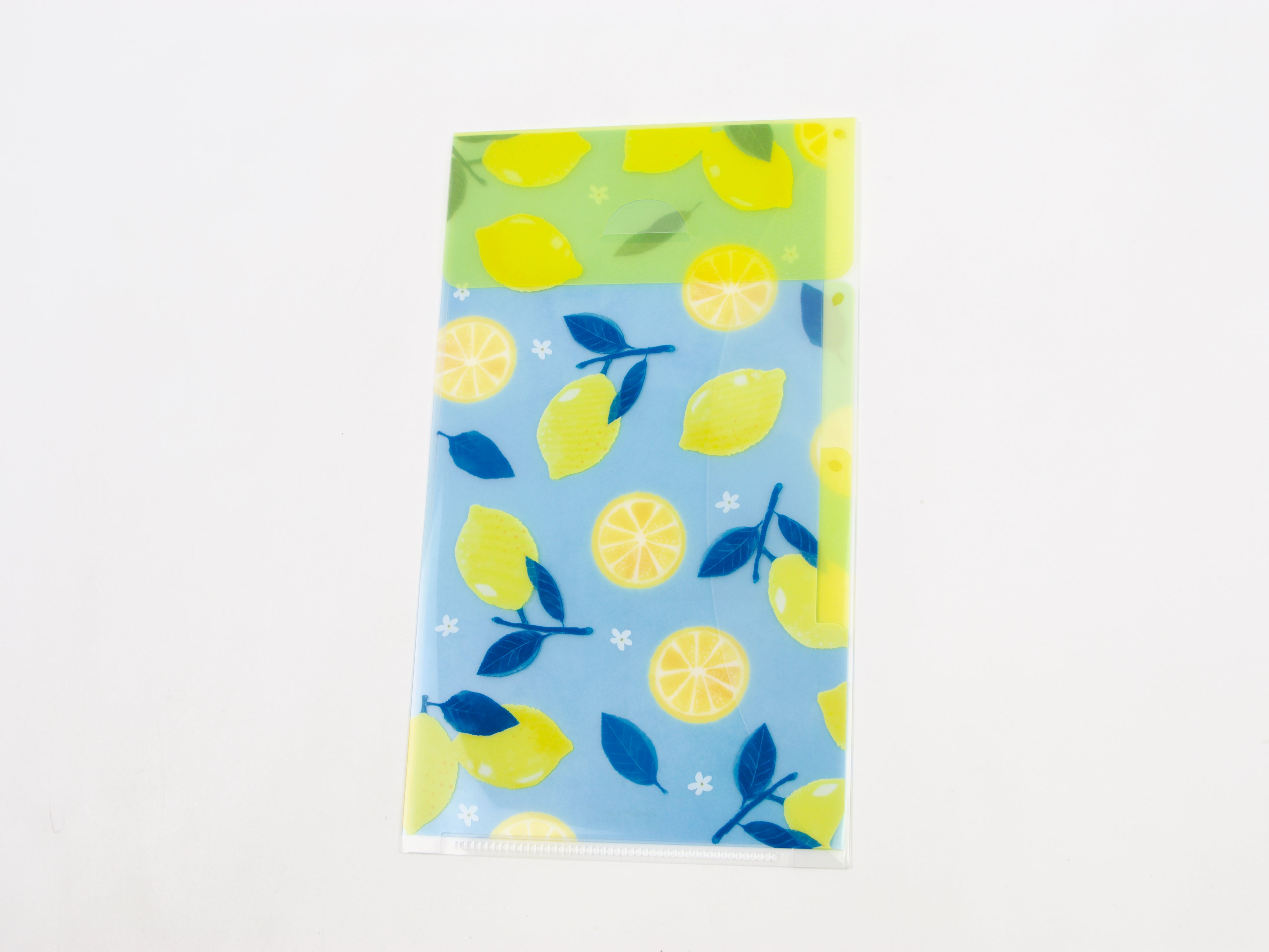 Midori Clear Folder A5 Slim - Tokyo Pen Shop