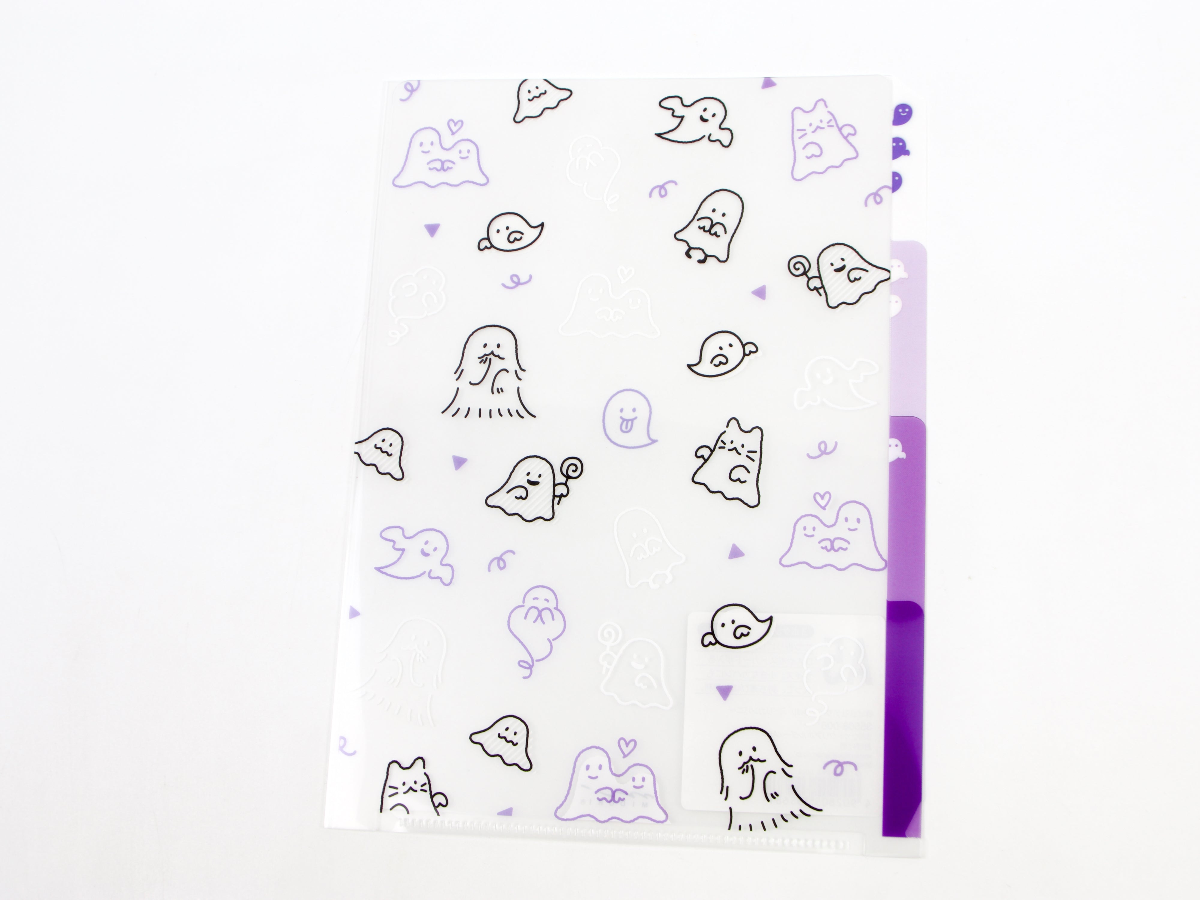 Midori Clear Folder A5 - Tokyo Pen Shop