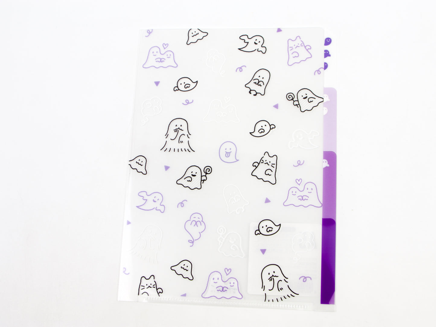 Midori Clear Folder A5