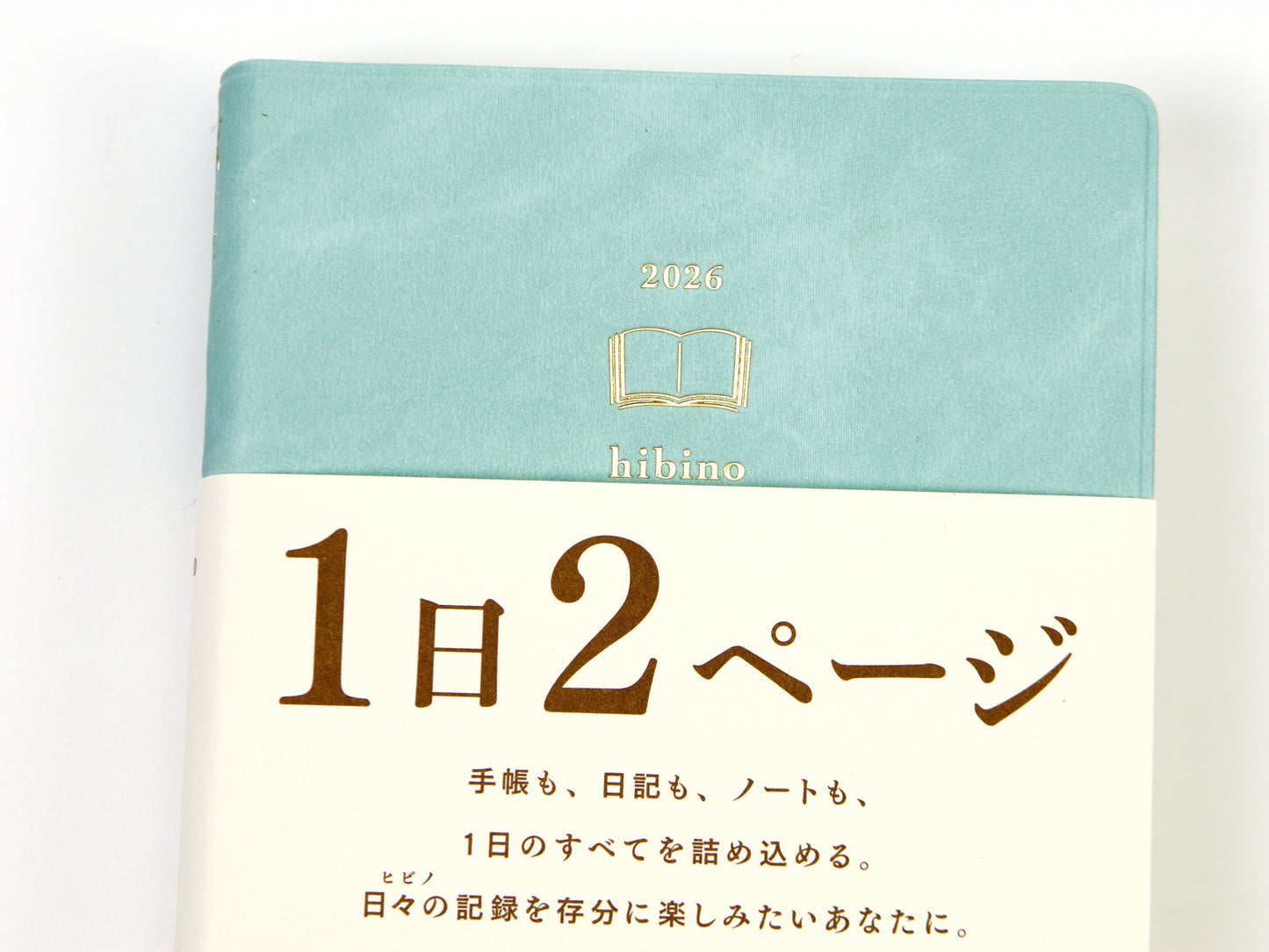 Midori Hibino 2025 A6 1 día 2 páginas