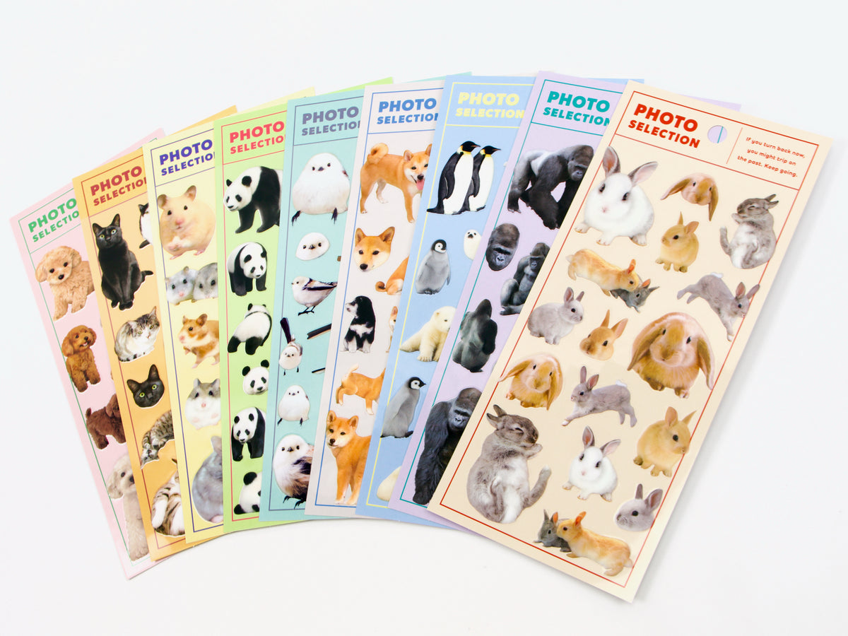 Mind Wave Photo Selection Stickers