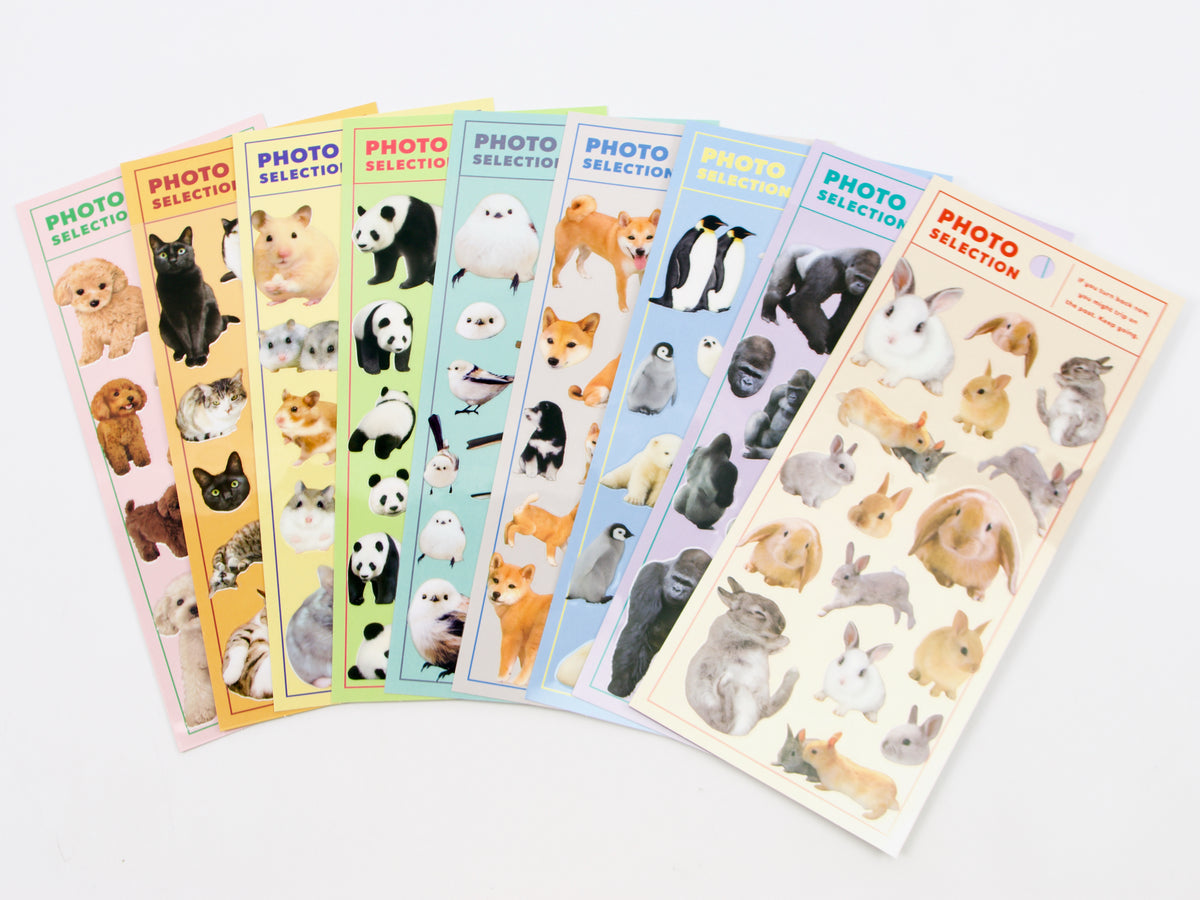 Mind Wave Photo Selection Stickers