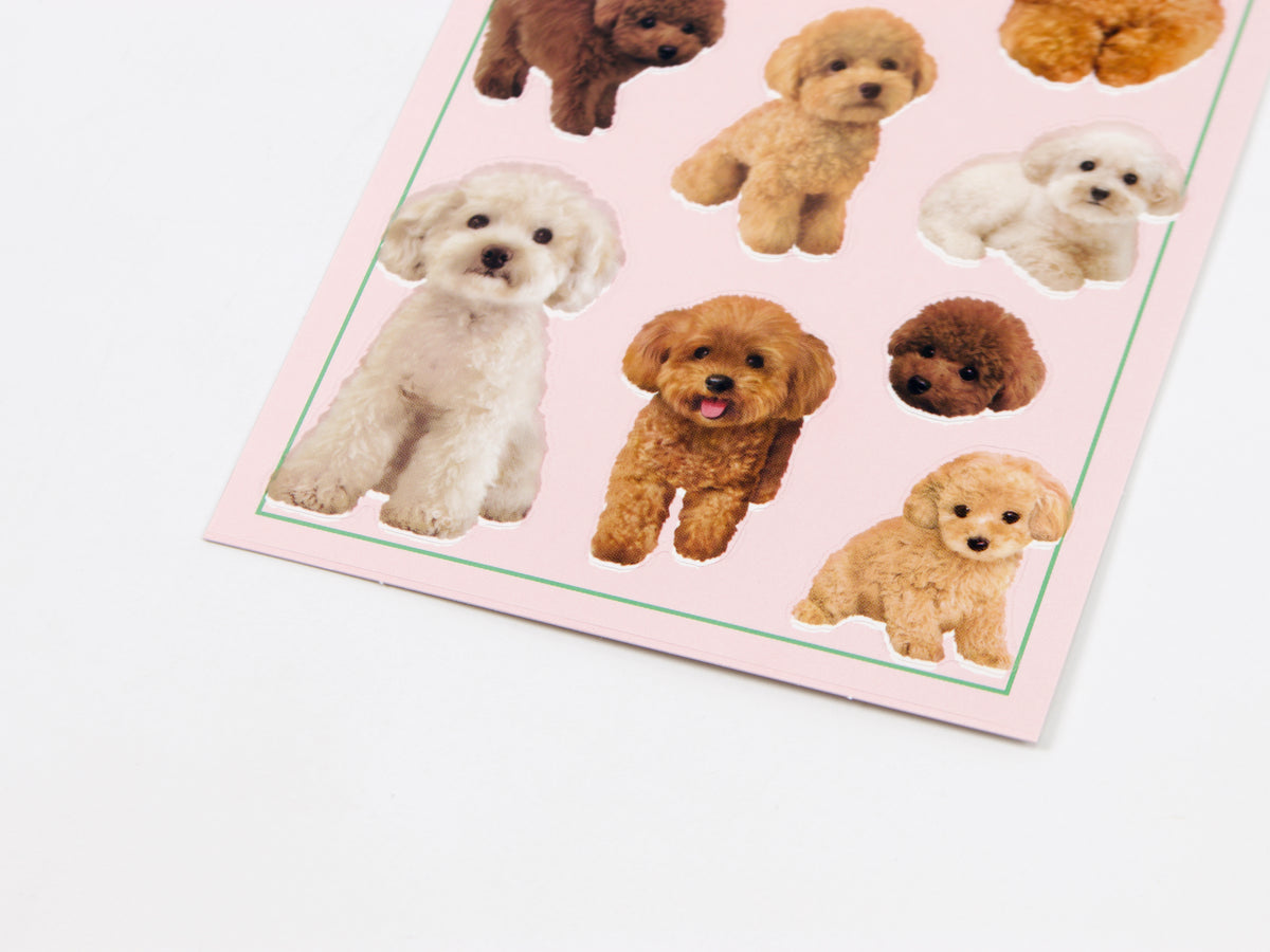 Mind Wave Photo Selection Stickers