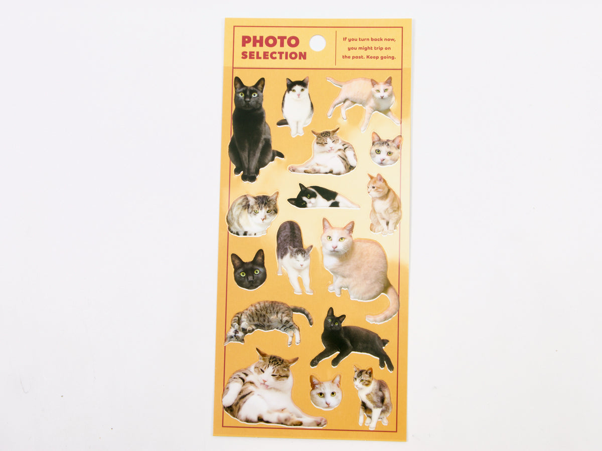 Mind Wave Photo Selection Stickers