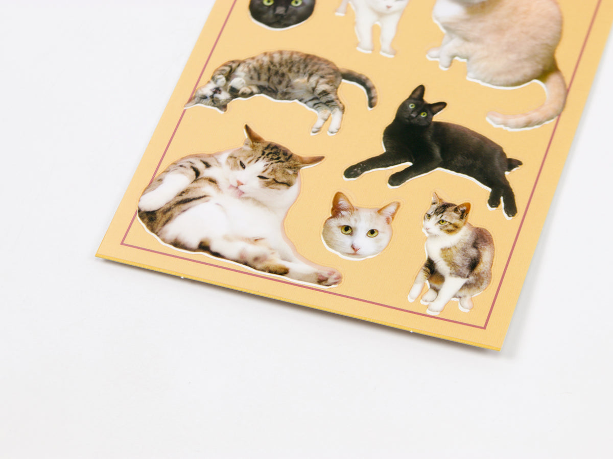 Mind Wave Photo Selection Stickers