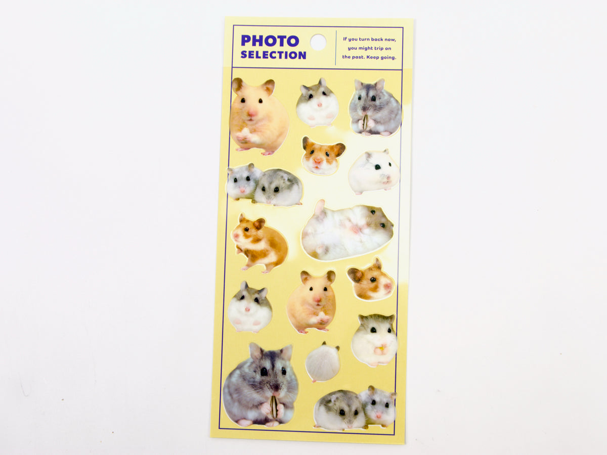 Mind Wave Photo Selection Stickers