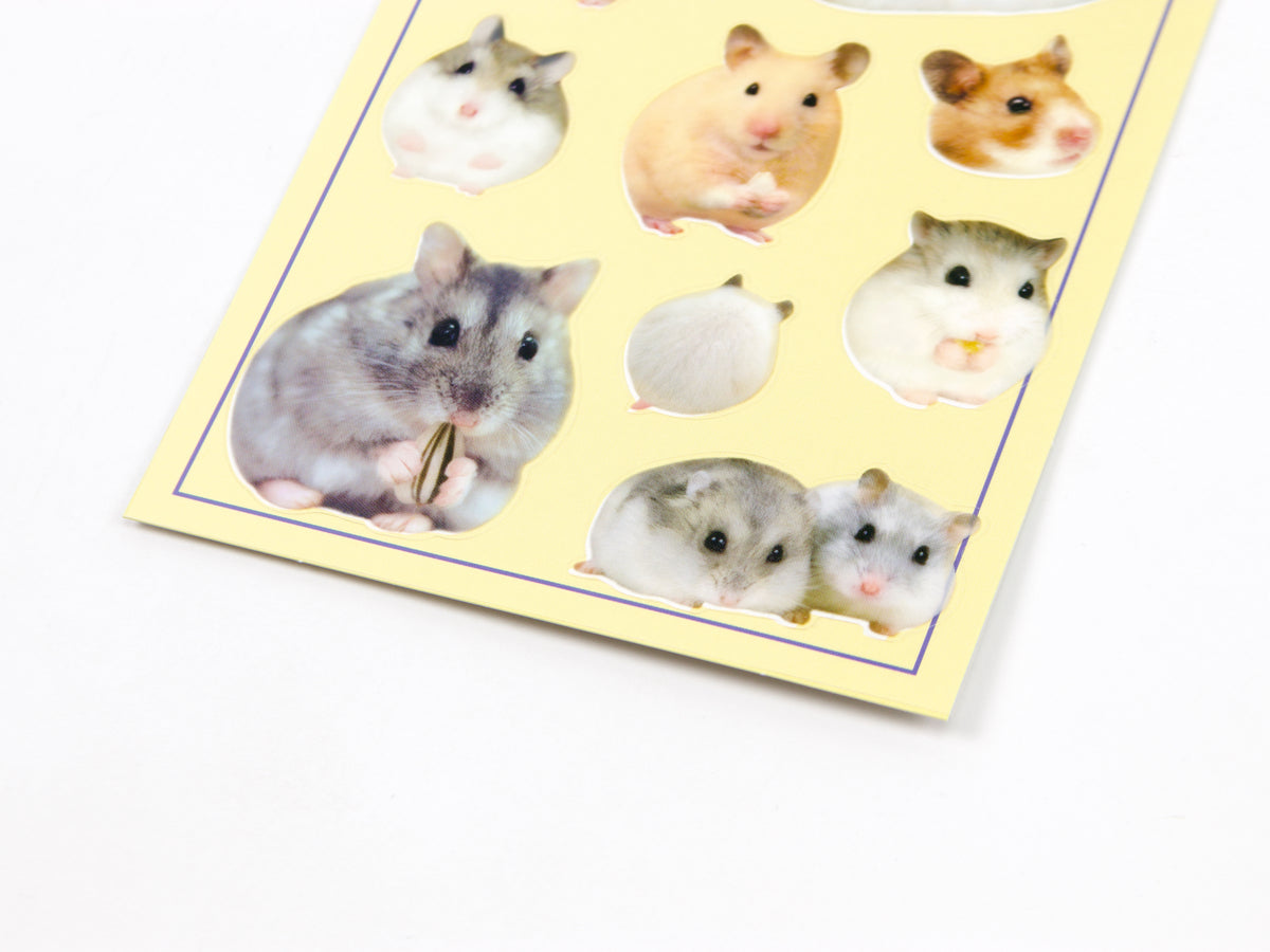 Mind Wave Photo Selection Stickers