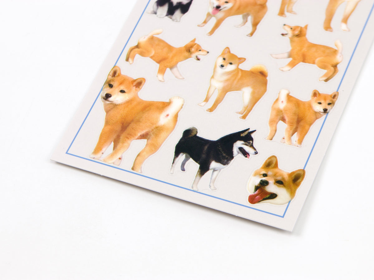 Mind Wave Photo Selection Stickers