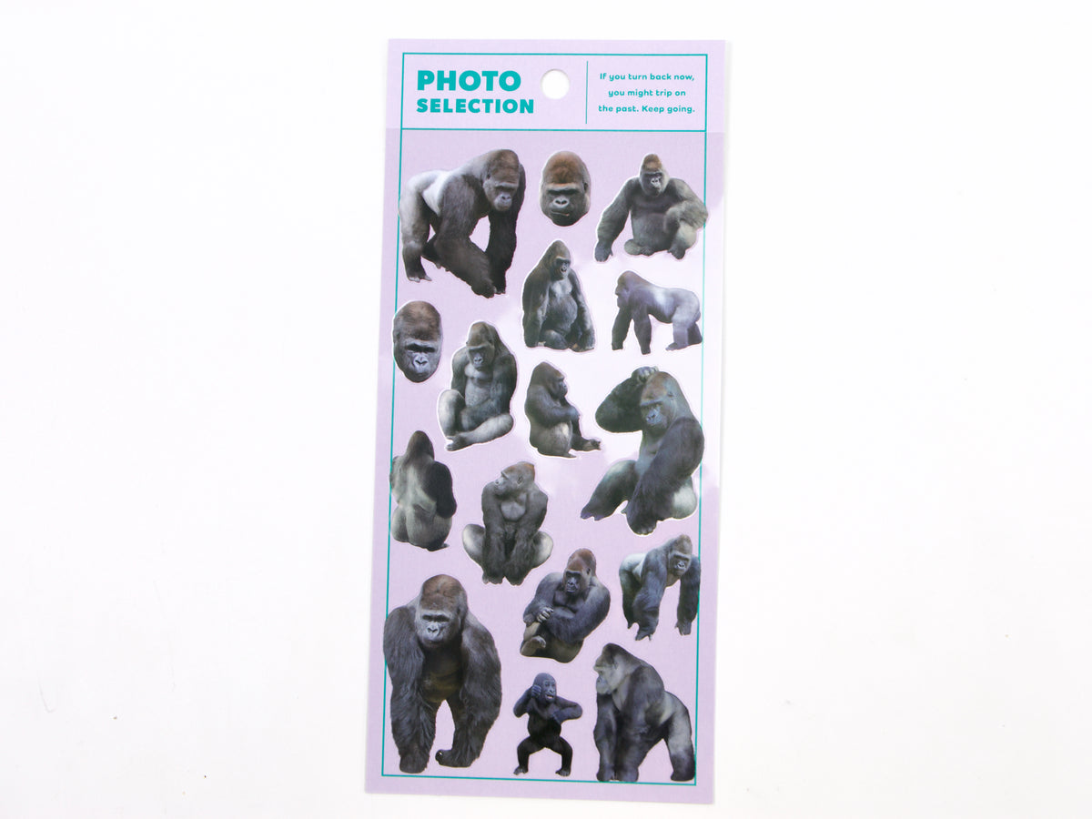 Mind Wave Photo Selection Stickers