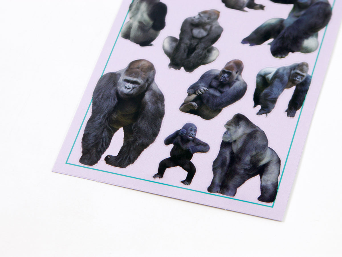 Mind Wave Photo Selection Stickers