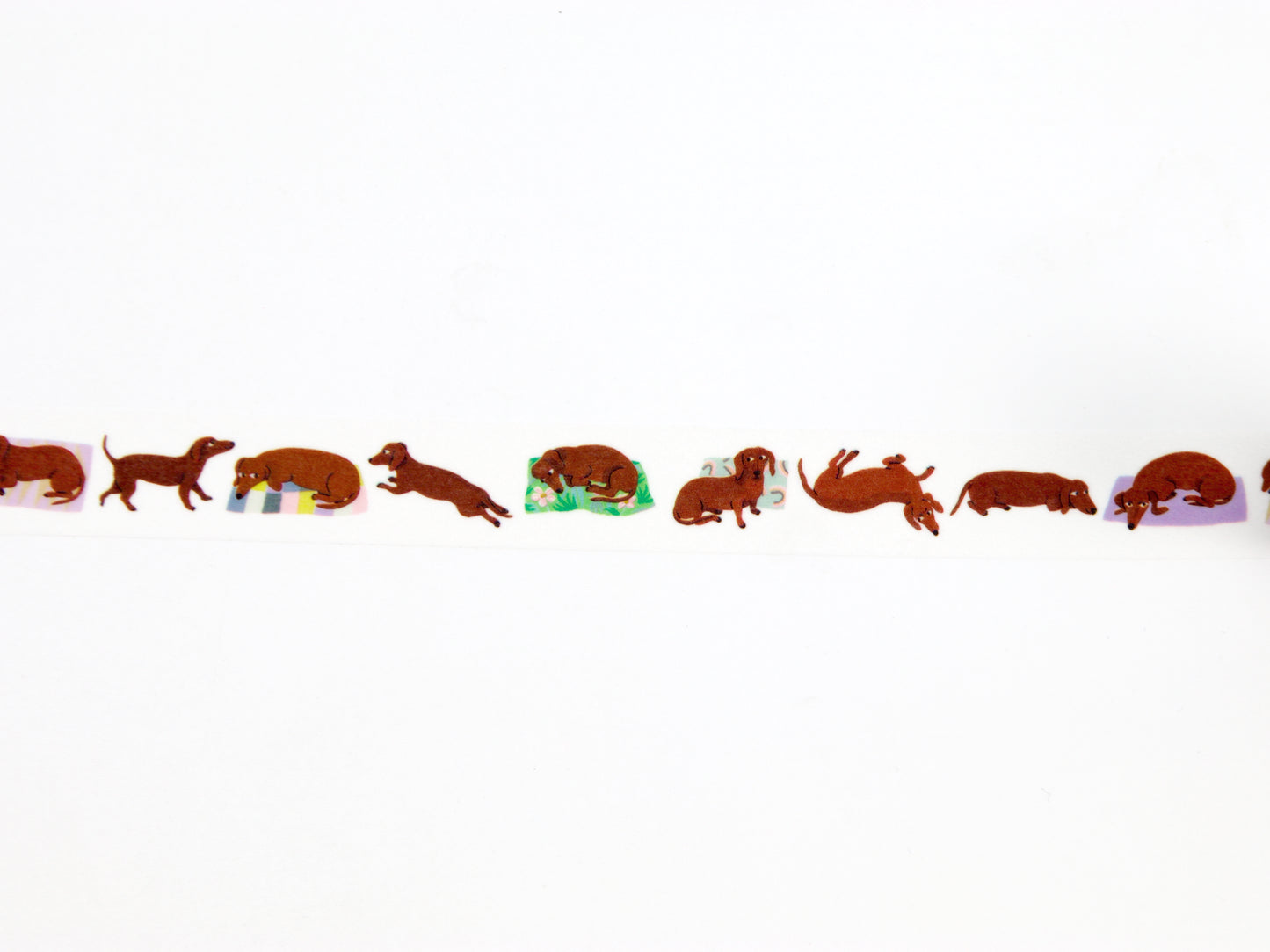 mt Léa Maupetit Sausage Dog