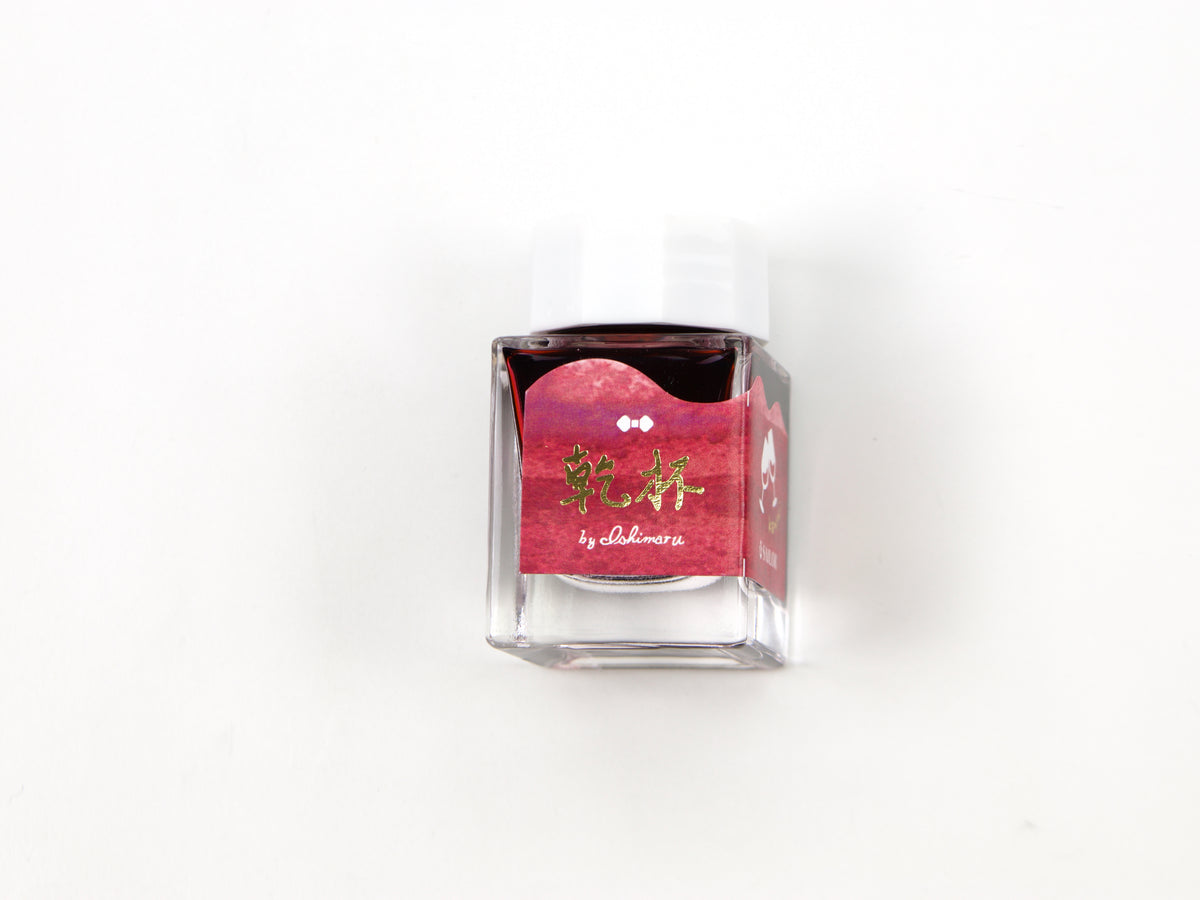 Sailor's Voyage 20th Anniversary Commemorative Ink Set