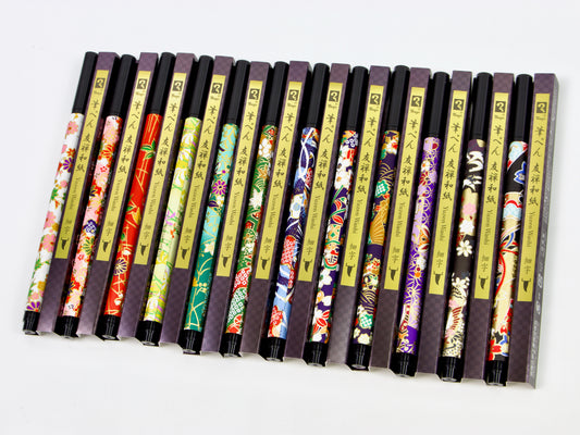 Bolígrafo de pincel de color Tombow Fudenosuke