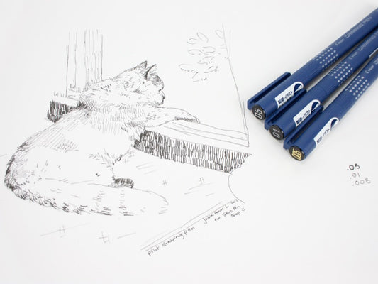 Stylo à dessin pilote