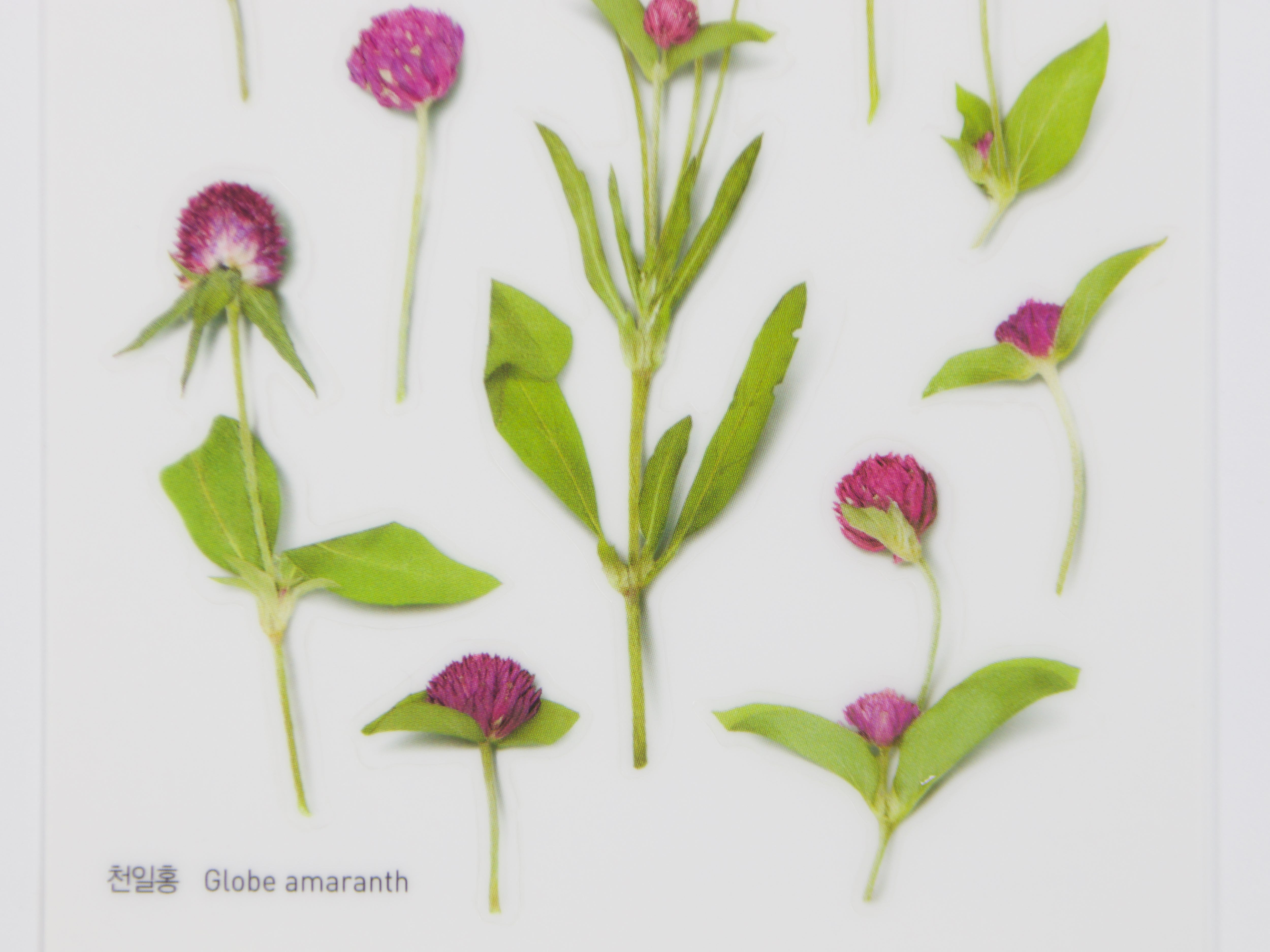 Amaranth Jigsaw Puzzles for Sale | Redbubble